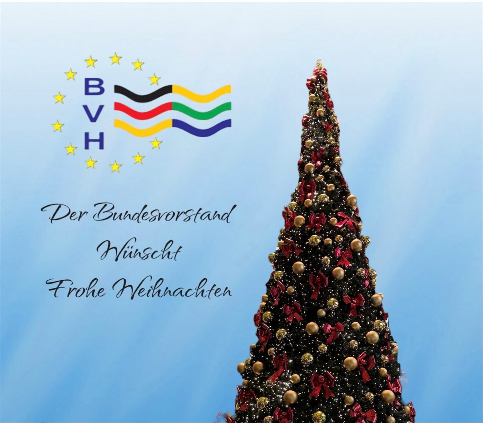 Bundesverband der Hygieneinspektoren